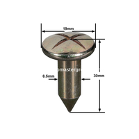 Stahl-Vermessungsnagel (30 mm)